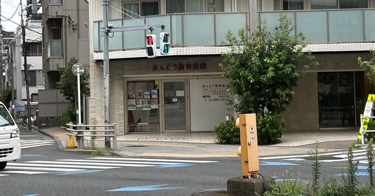 あんどう動物病院