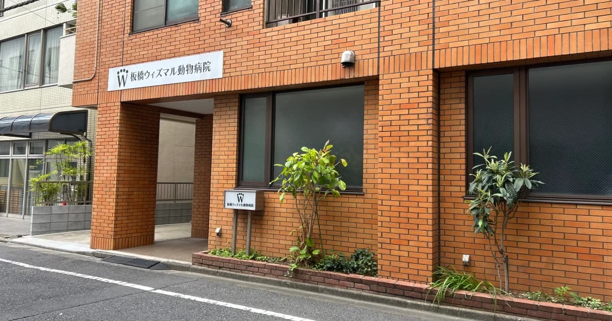 板橋ウィズマル動物病院