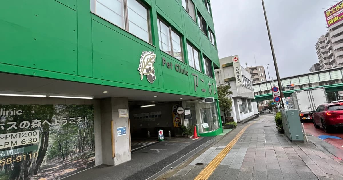 Pet Clinic アニホス