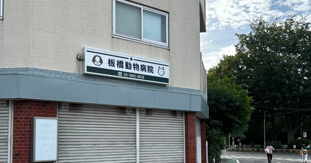 板橋動物病院