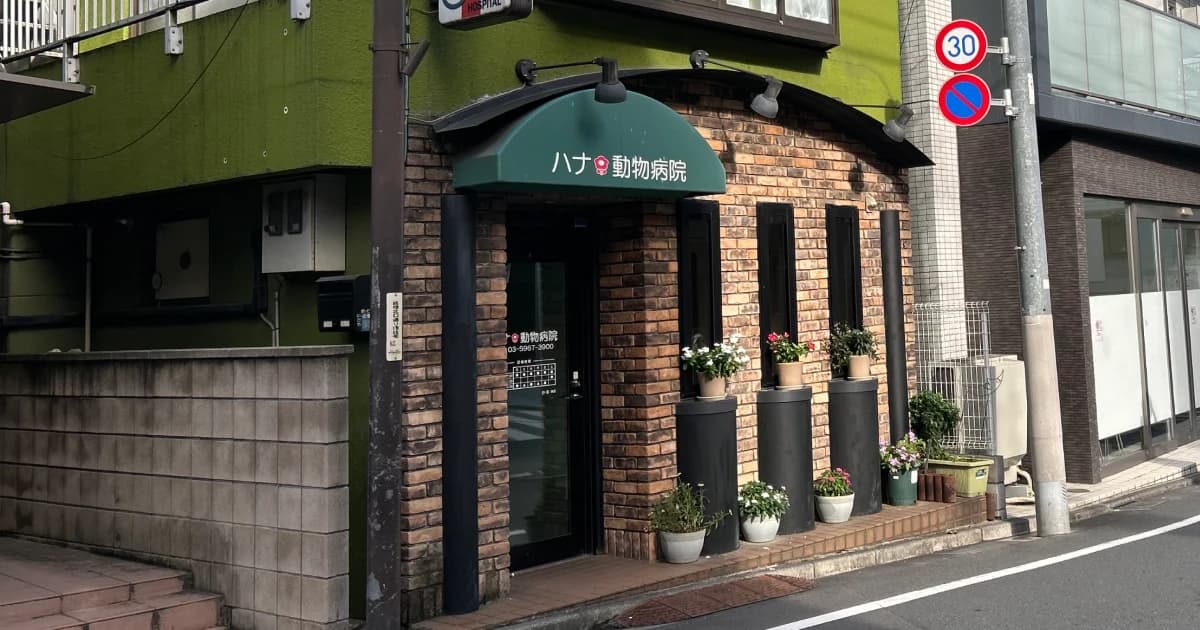 ハナ動物病院