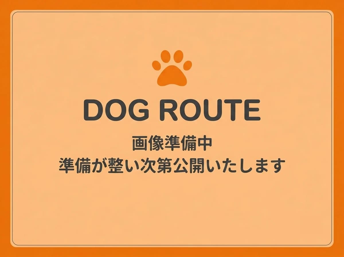 エム・エム動物病院