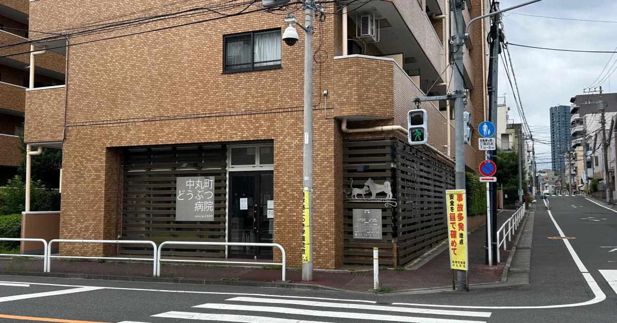 中丸町どうぶつ病院