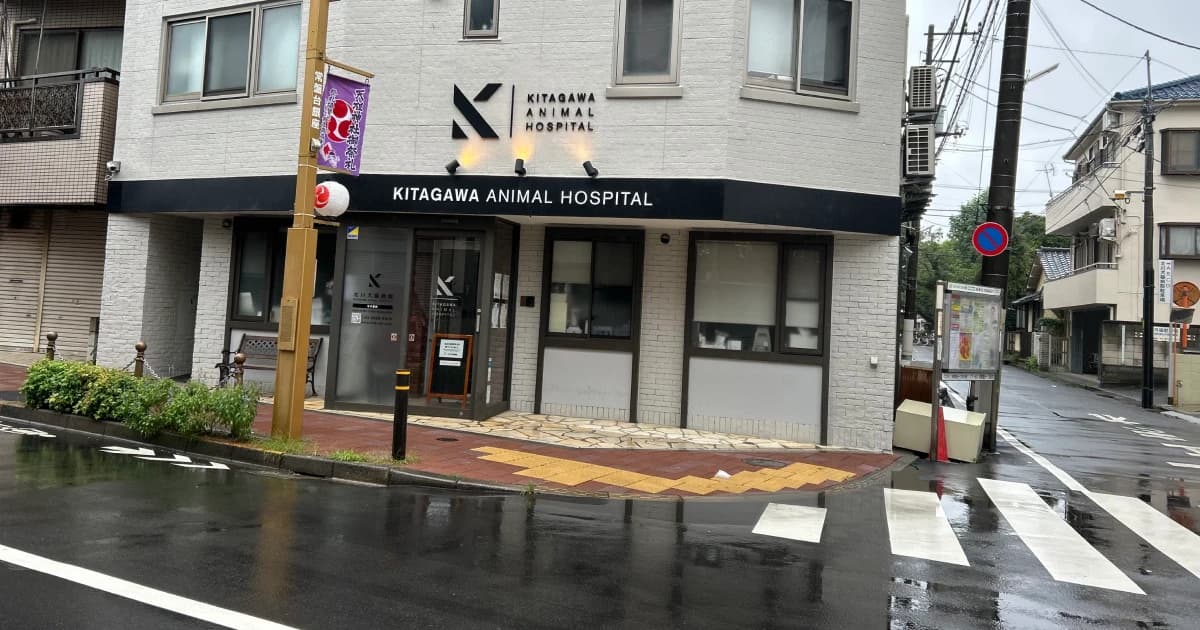 北川犬猫病院